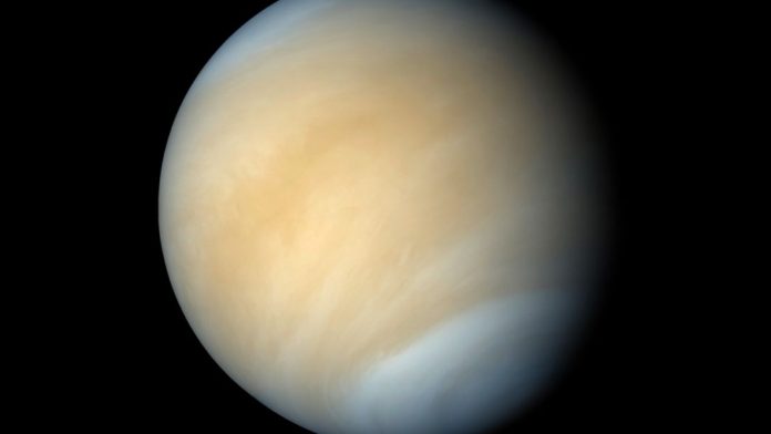 Phosphine's Presence indicates Presence of life on Venus