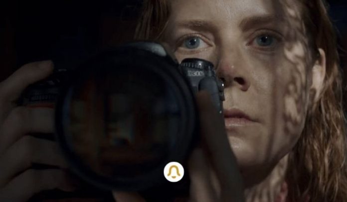 The Woman in the Window Netflix Release Date, Cast, Trailer, Plot and all you need to know