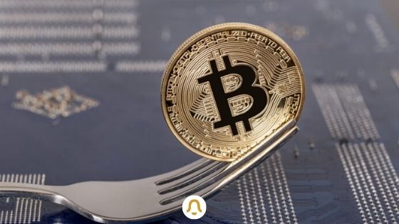 crypto fork news