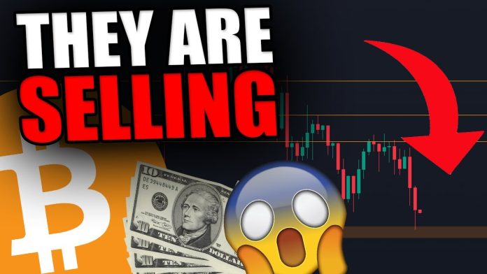 Germany transfers $52M in Bitcoin, strategically sells $17.65M on major exchanges
