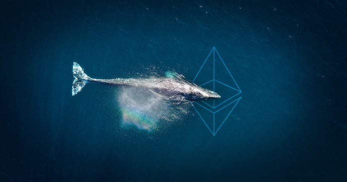 Ancient Ethereum Whale Suddenly Moves 7,000 ETH + Price Prediction